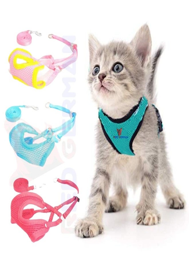 RoverPets Puppy Vest Harness and Leash Set | Soft Mesh Padded, Harness with Leash for Small Dogs & Puppies | Breathable & Lightweight Adjustable Vest (Blue) - Image 1